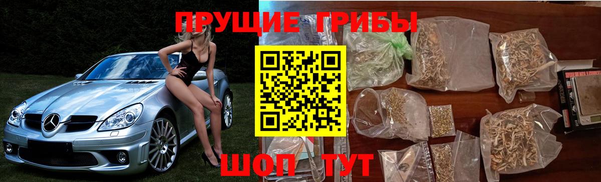 Галлюциногенные грибы прущие грибы  где купить наркоту  Электрогорск  Вход с VPN  Галлюциногенные грибы ЛСД 